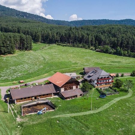 Villa Schartnerhof Collalbo Exterior foto